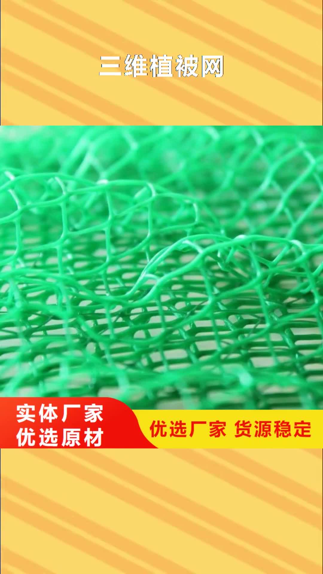 泸州【三维植被网】_植草格产地采购