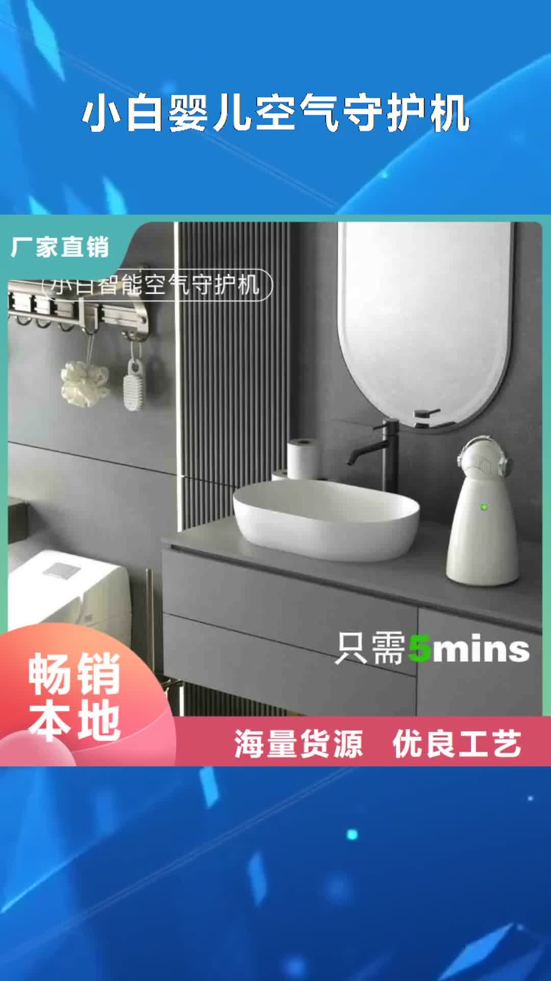 庆阳【小白婴儿空气守护机】 空气守护精品选购