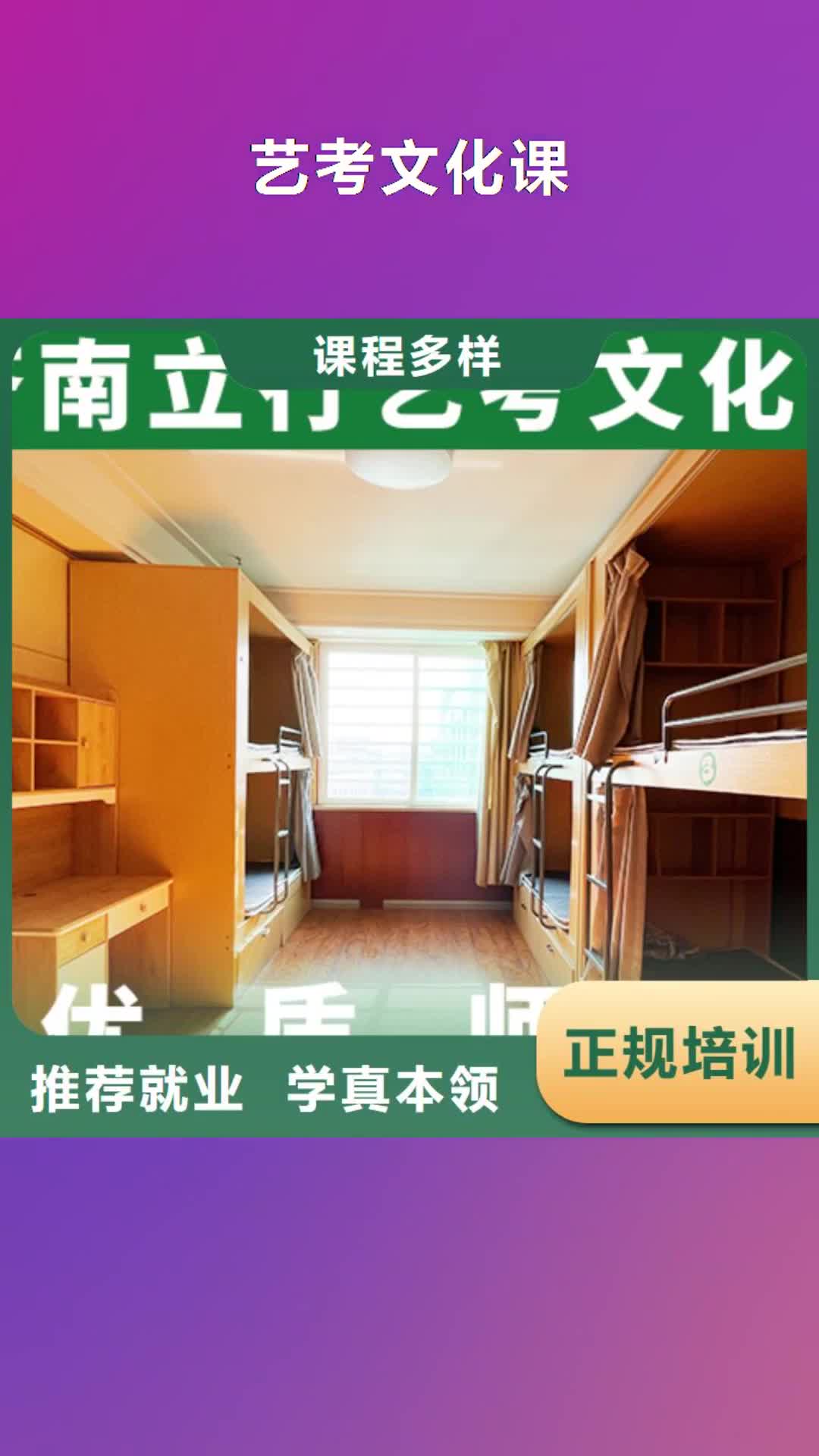 安徽 艺考文化课学真技术