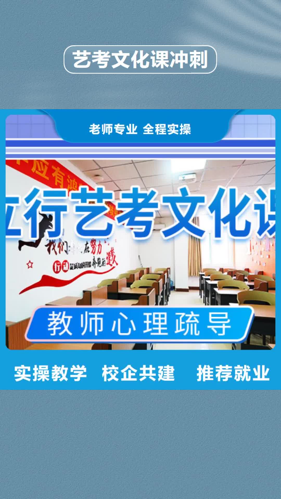 阜阳 艺考文化课冲刺实操培训