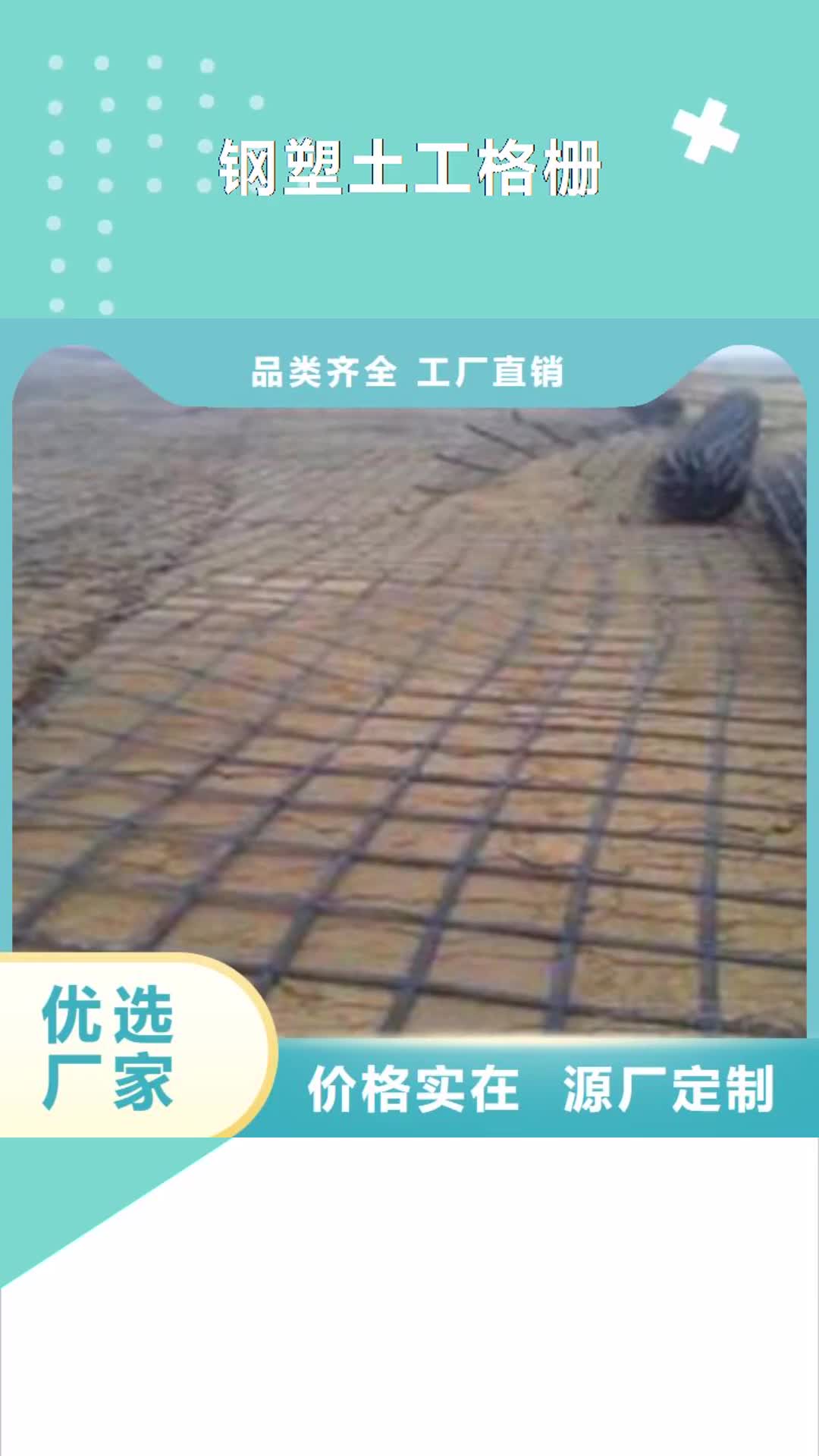 邵阳 钢塑土工格栅 【玻纤土工格栅】定制定做