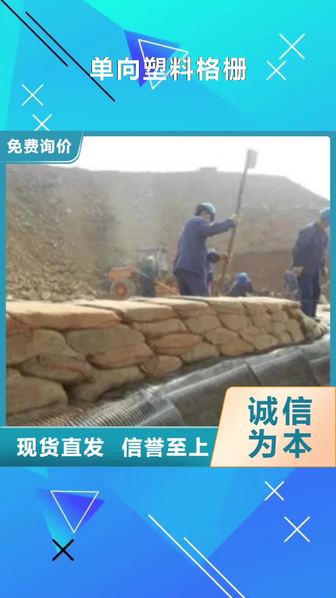 【唐山 单向塑料格栅,三维植被网质量为本】