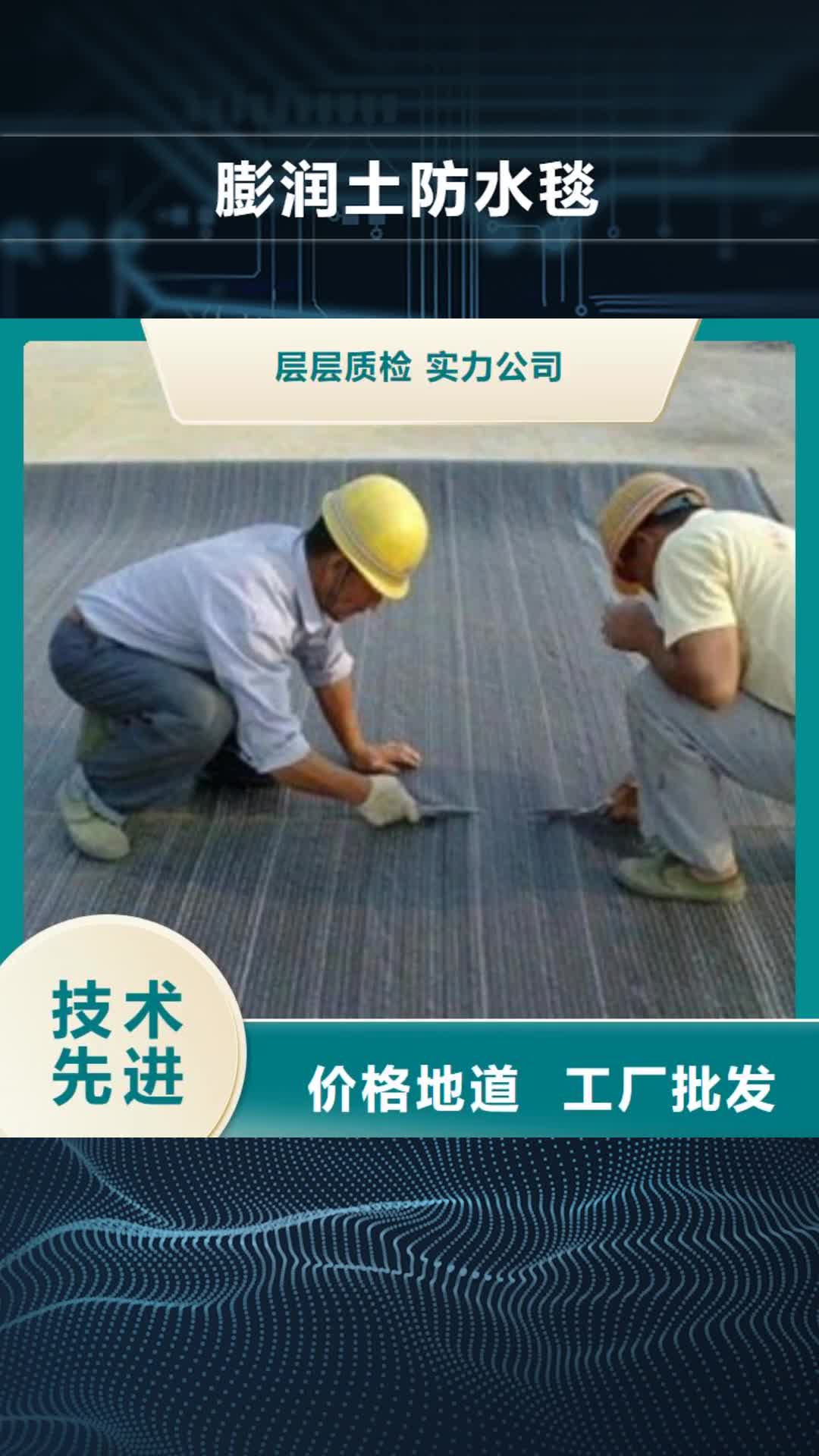庆阳【膨润土防水毯】塑料土工格栅专心专注专业