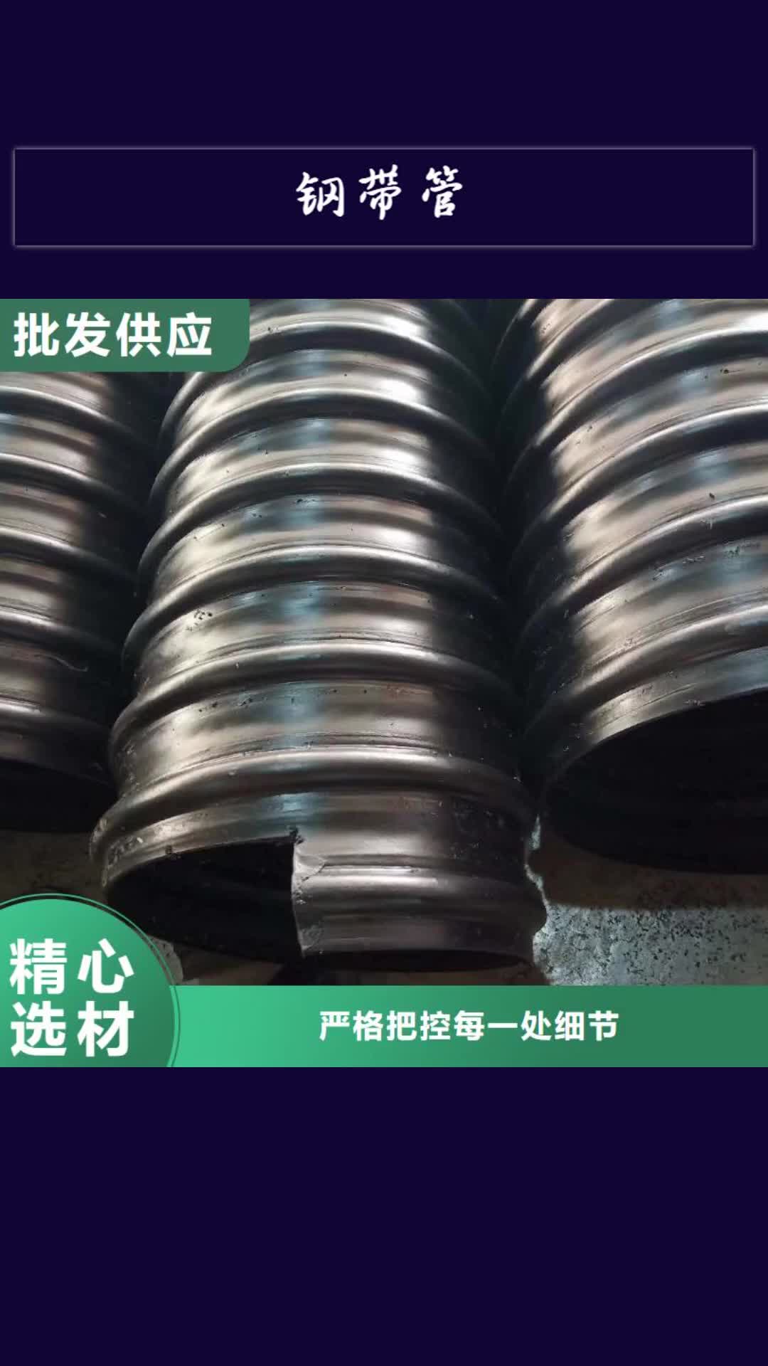【漳州 钢带管 PE给水管来图来样定制】
