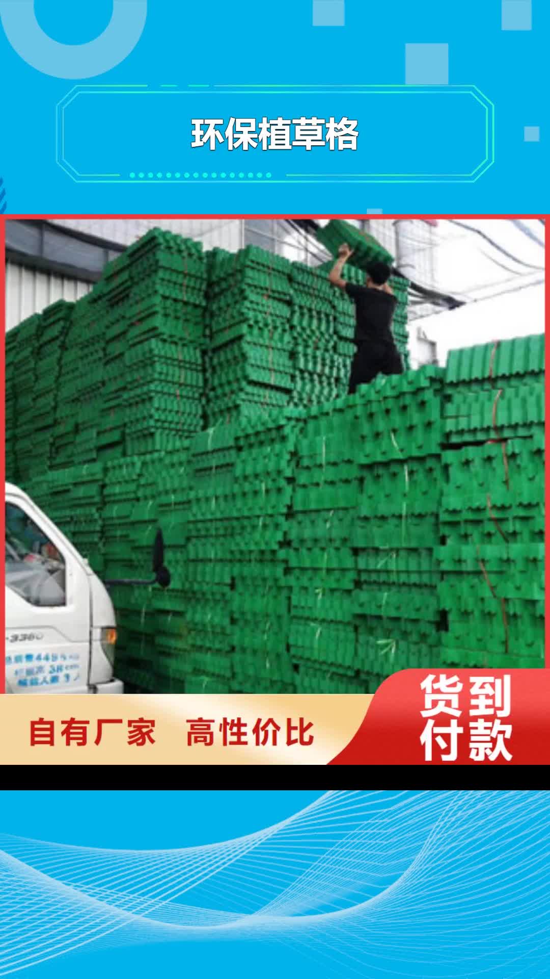 佳木斯【环保植草格】,排水板厂家厂诚信经营